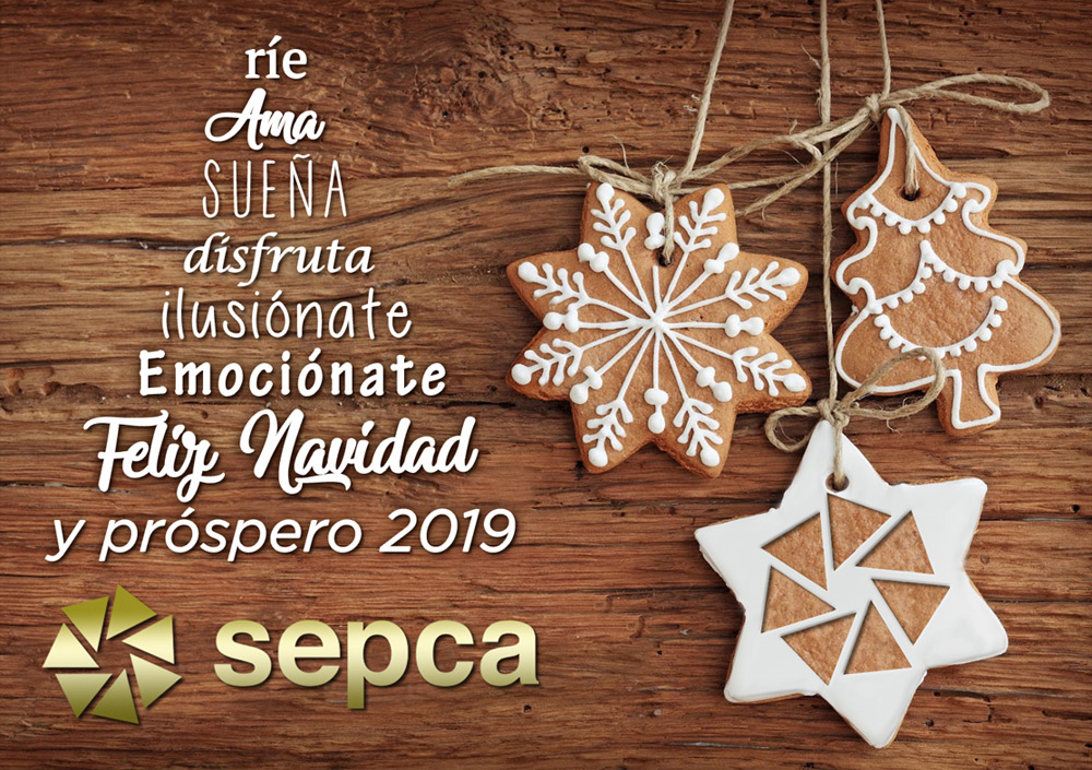 14 12 18 XMAS SEPCA 2019 web