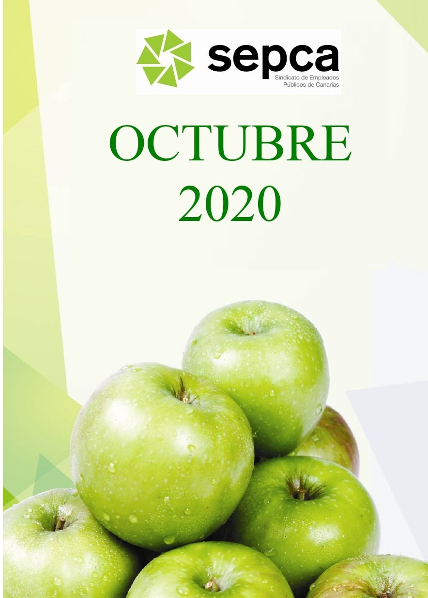 13 10 2020 FOTO JPG PORTADA BOLETÍN OCTUBRE 2020 1 min