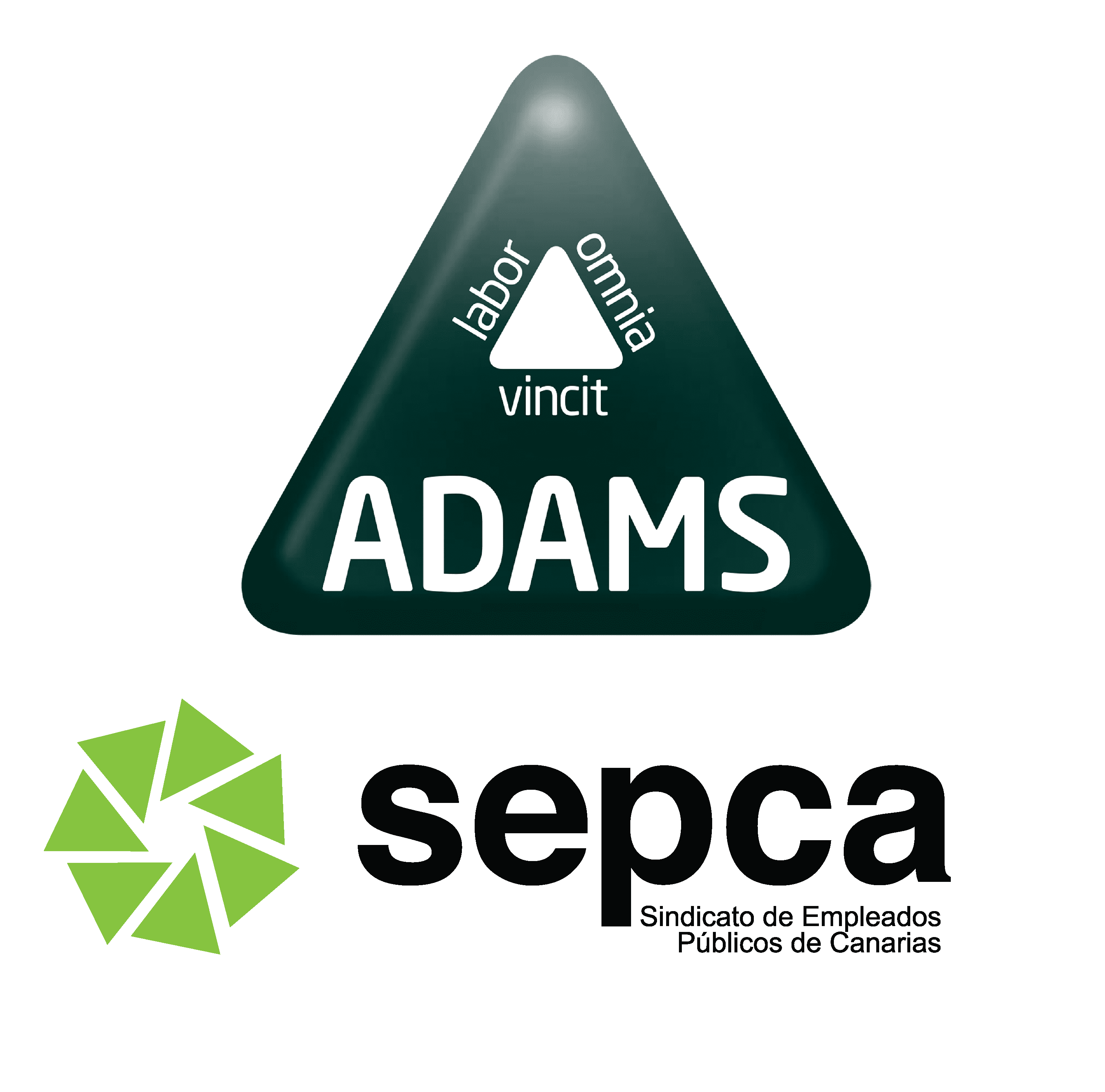17 02 2021 logo digital ADAMS y SEPCA 2 